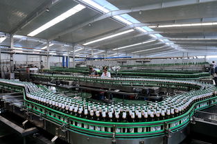 啤酒廠融資商業(yè)計(jì)劃書