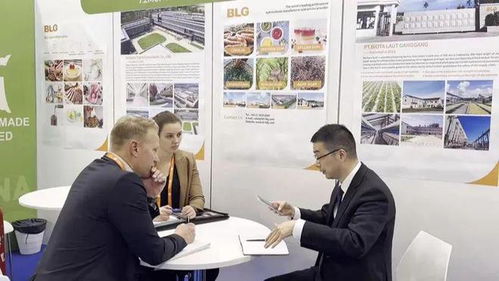 搶單 歸來 浙江最強軍團都帶回了什么 還有這件事浙江也搶先了